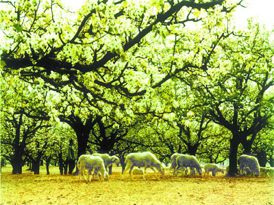 10 paisajes ecológicos en el sur de Beijing 23