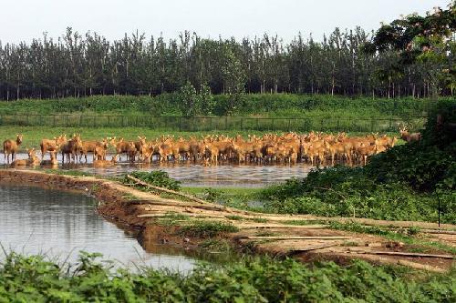 10 paisajes ecológicos en el sur de Beijing 18