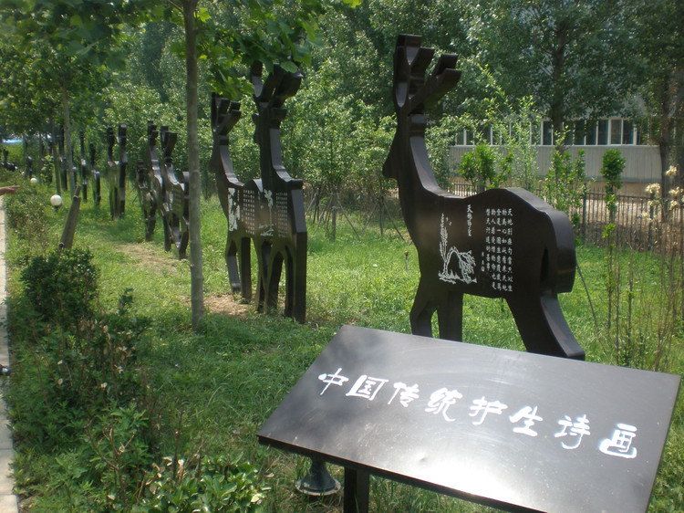10 paisajes ecológicos en el sur de Beijing 19