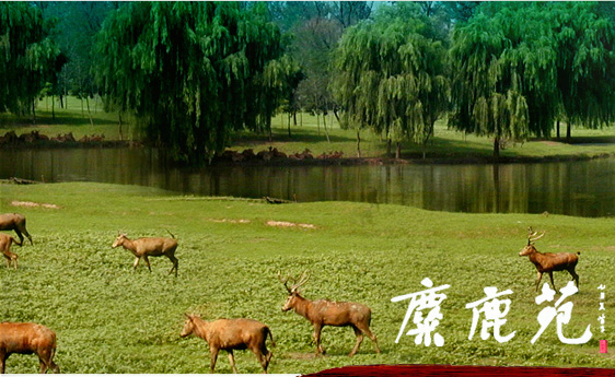 10 paisajes ecológicos en el sur de Beijing 20