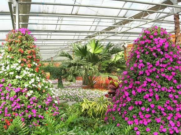 10 paisajes ecológicos en el sur de Beijing 2