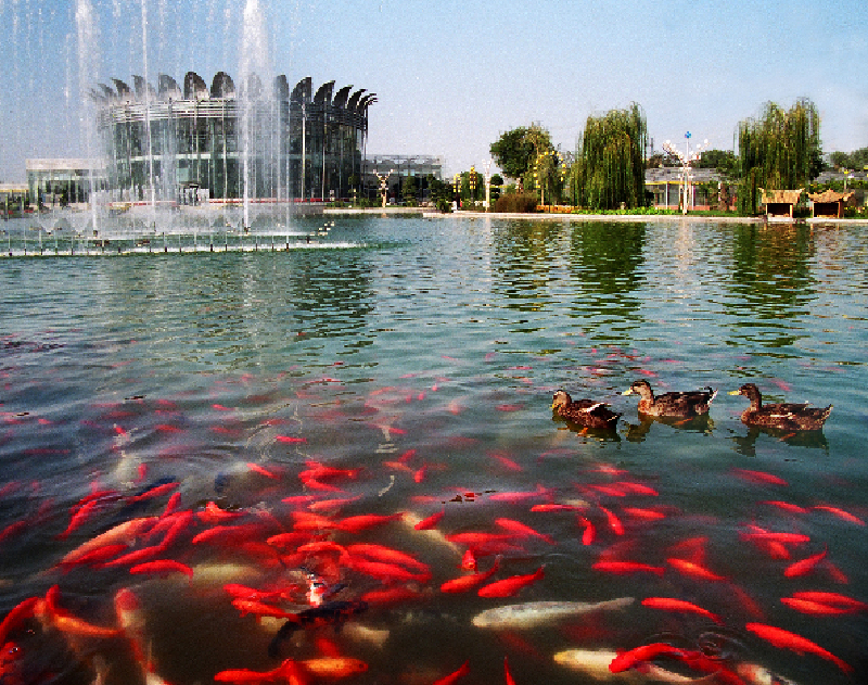 10 paisajes ecológicos en el sur de Beijing 3