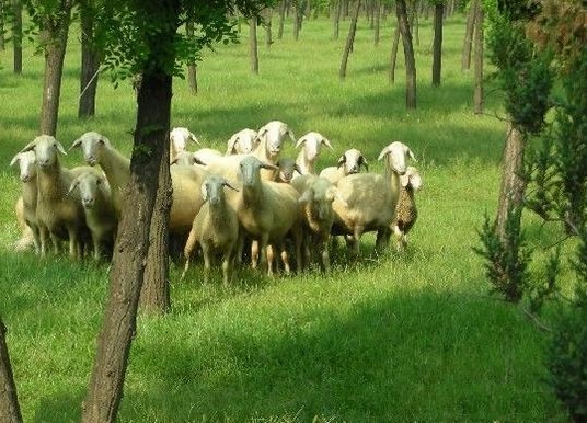 10 paisajes ecológicos en el sur de Beijing 17