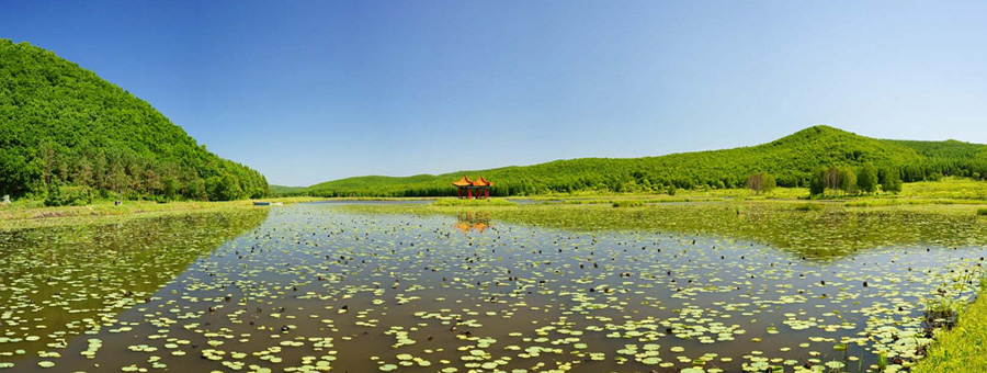 El increíble Lago Khanka en Heilongjiang de China 1