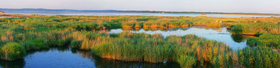 El increíble Lago Khanka en Heilongjiang de China 5