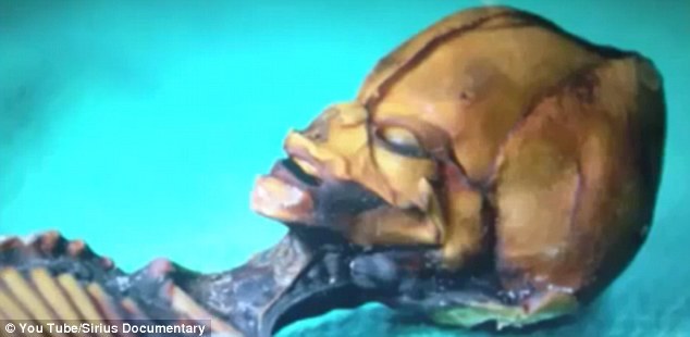 Hallan un esqueleto de extraterrestre más pequeño en Chile 