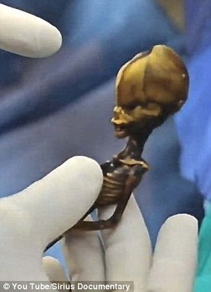 Hallan un esqueleto de extraterrestre más pequeño en Chile 