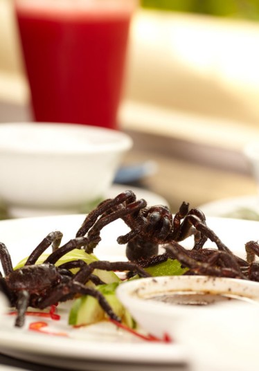 Fried Spiders Arañas fritas