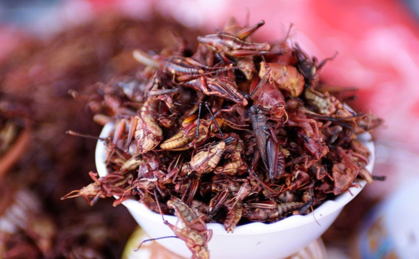 Grasshoppers