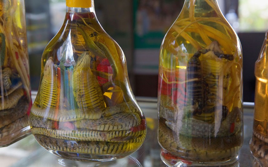 Snake wine Alcohol de serpiente