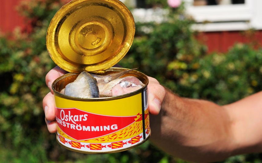 Surströmming