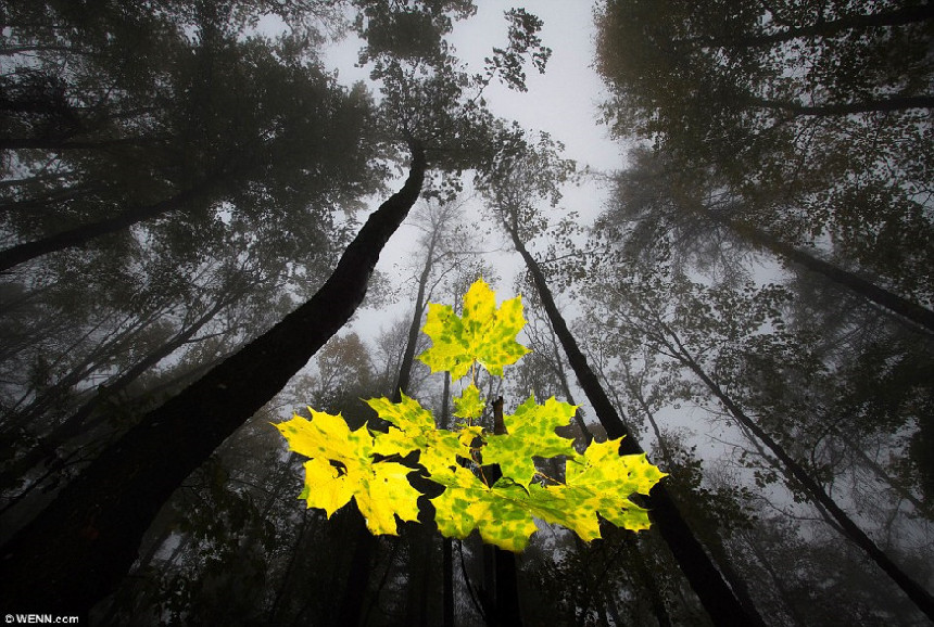 Las mejores fotografías de la naturaleza