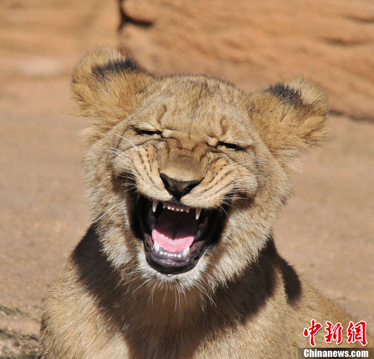 Que disfrutes del día internacional de la sonrisa 17