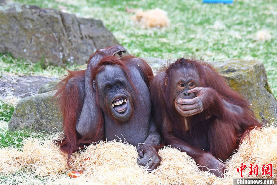  2Que disfrutes del día internacional de la sonrisac