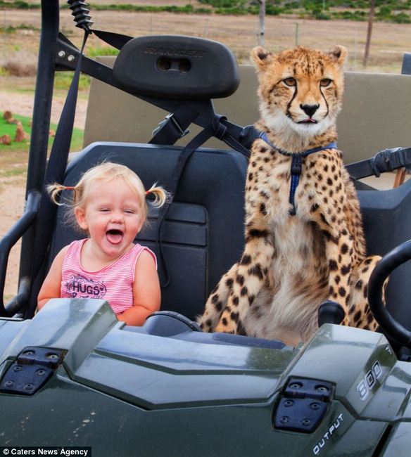 La amistad entre un cachorro de cheetah y dos niños hermasnos en África , animal,