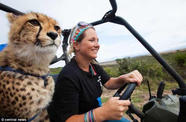 La amistad entre un cachorro de cheetah y dos niños hermasnos en África , animal,