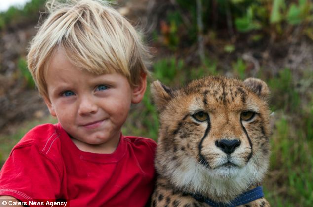 La amistad entre un cachorro de cheetah y dos niños hermasnos en África , animal,