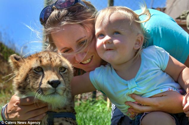 La amistad entre un cachorro de cheetah y dos niños hermasnos en África , animal,