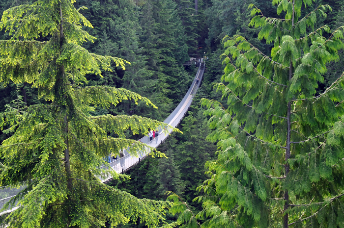 Top 10 puentes colgantes de vértigo del mundo 1