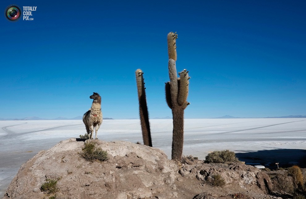 Obras de la serie 'Planeta' fotografiadas por totallycoolpix.com 22