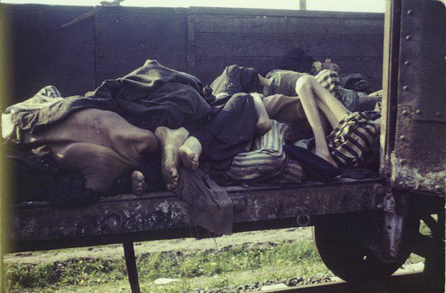 Fotos documentales: la vida trágica de las mujeres en los campos de concentración nazis