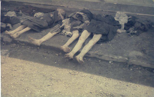 Fotos documentales: la vida trágica de las mujeres en los campos de concentración nazis