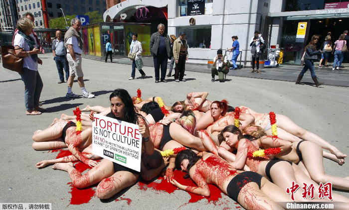Activistas protestan semidesnudas en contra de las corridas de toros en Barcelona 5