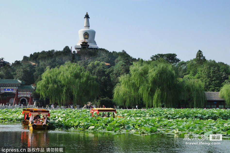 ¿Dónde para contemplar el flor de loto en China? 5 ¿Dónde para contemplar el flor de loto en China? 5