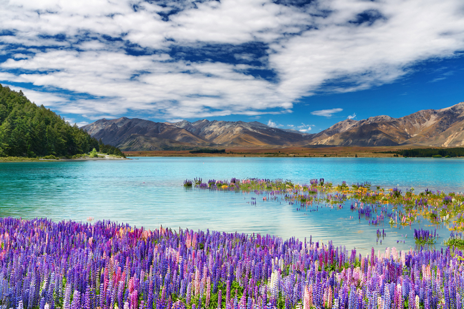 Siete lagos más impresionantes en Nueva Zelanda 23