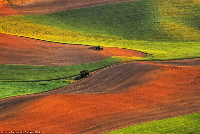 Paisajes pintorescos de Palouse capturados por Larry Gerbrandt