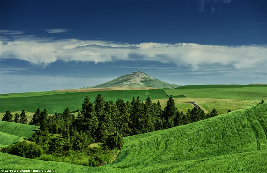 Paisajes pintorescos de Palouse capturados por Larry Gerbrandt