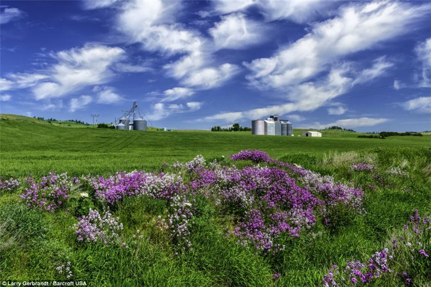 Paisajes pintorescos de Palouse capturados por Larry Gerbrandt