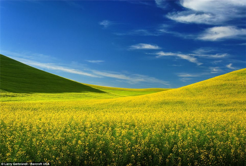 Paisajes pintorescos de Palouse capturados por Larry Gerbrandt