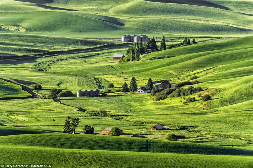 Paisajes pintorescos de Palouse capturados por Larry Gerbrandt