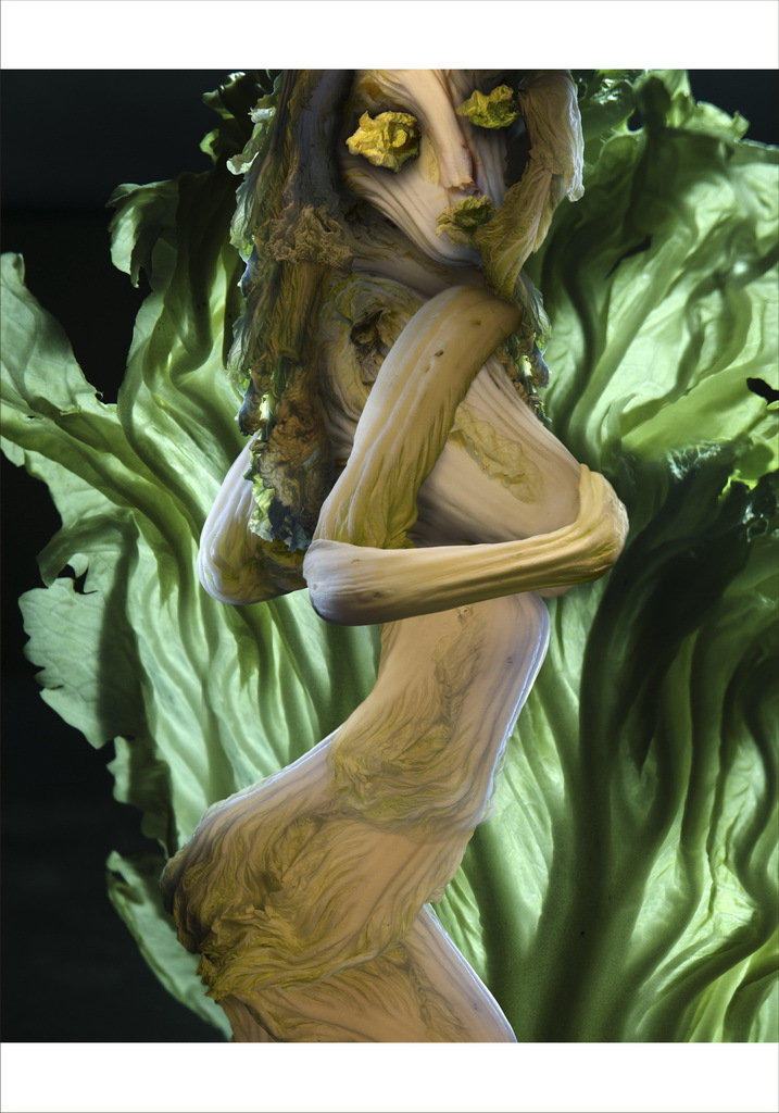 Las clásicas obras hechas con verduas 11