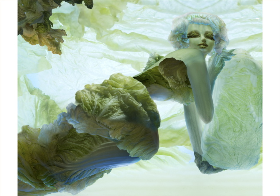 Las clásicas obras hechas con verduas 5