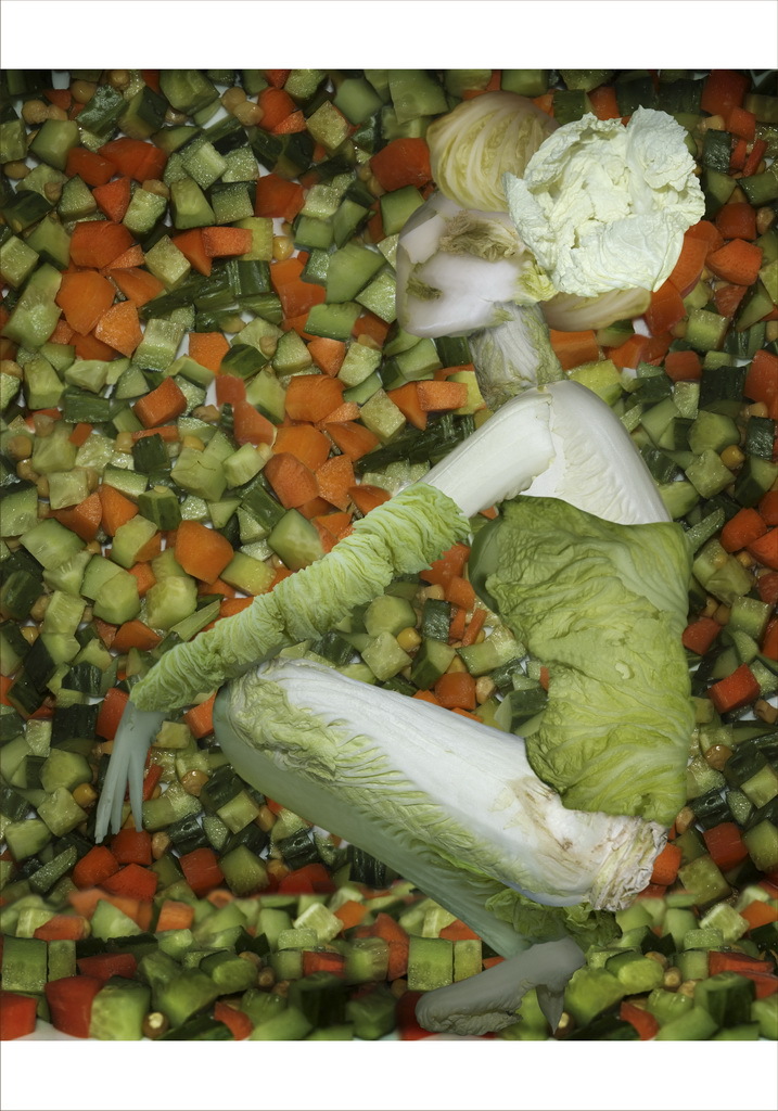 Las clásicas obras hechas con verduas 4