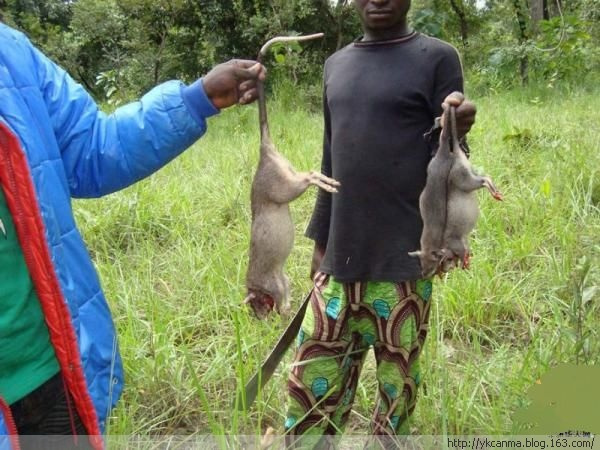 Vestimenta extraña en Africa