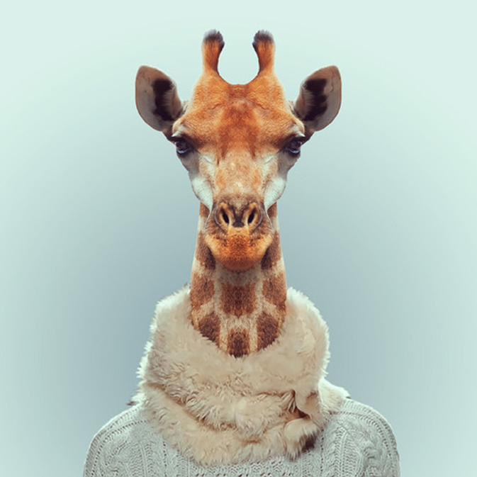  Zoo Portraits,la serie de fotos graciosas de animales del fotógrafo Yago Partal 6