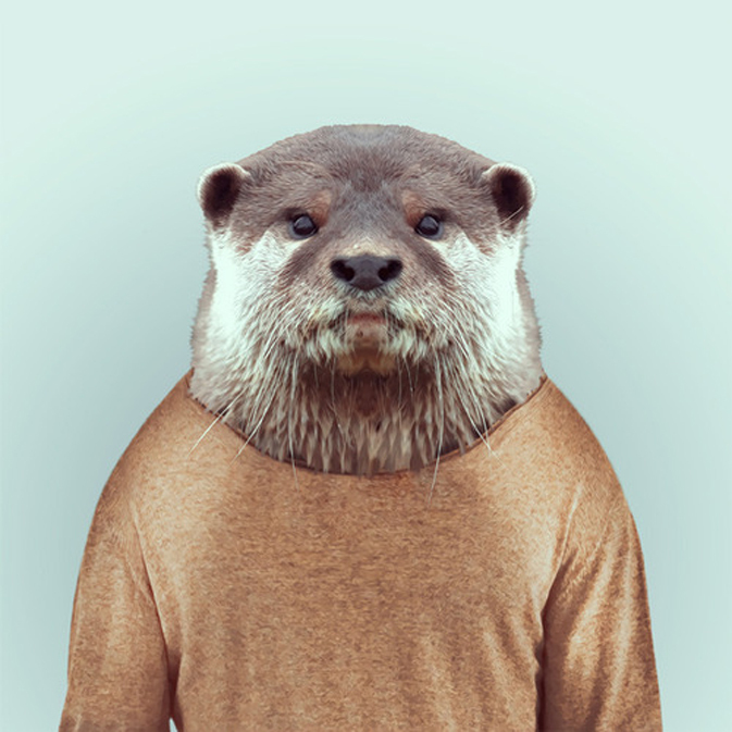 Zoo Portraits,la serie de fotos graciosas de animales del fotógrafo Yago Partal 16