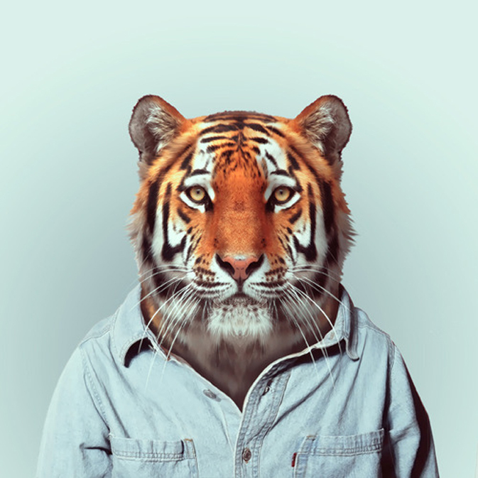 Zoo Portraits,la serie de fotos graciosas de animales del fotógrafo Yago Partal 114