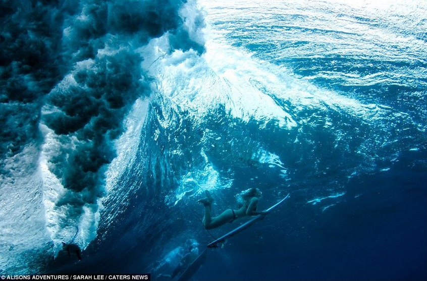 Sentirse fresco en el verano: 13 fotos hermosas de las surfistas sexys
