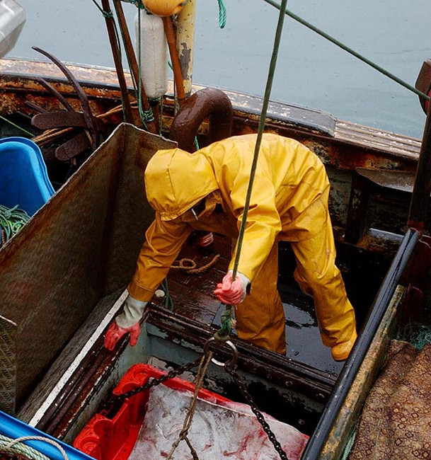 Diez carreras más peligrosas en 2013, según los medios británicos: 7. Los pescadores comerciales