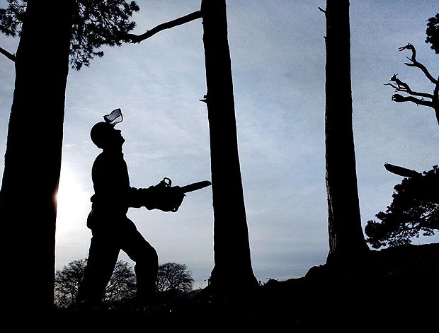 Diez carreras más peligrosas en 2013, según los medios británicos: 8. Leñadores