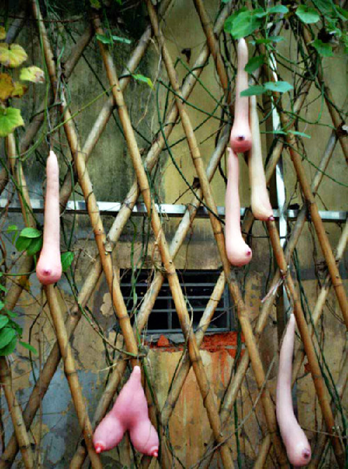 La fruta que se parece a pecho en Vietnam 2