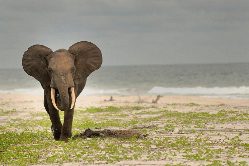 Las playas más especiales del mundo