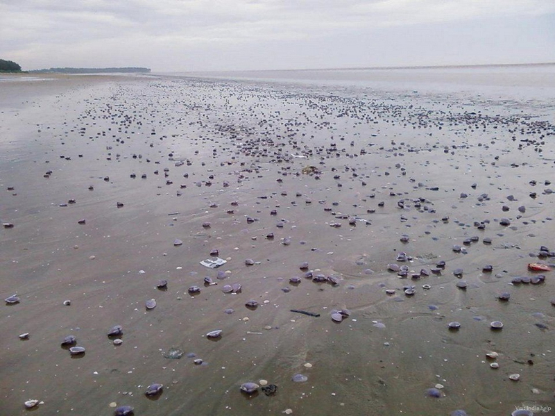 Las playas más especiales del mundo