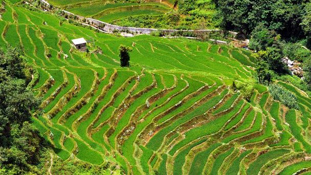 Lugares turísticos populares elegidos por BBC a la semana