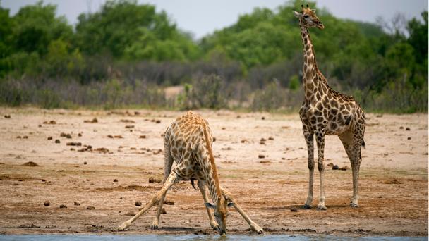 Lugares turísticos populares elegidos por BBC a la semana