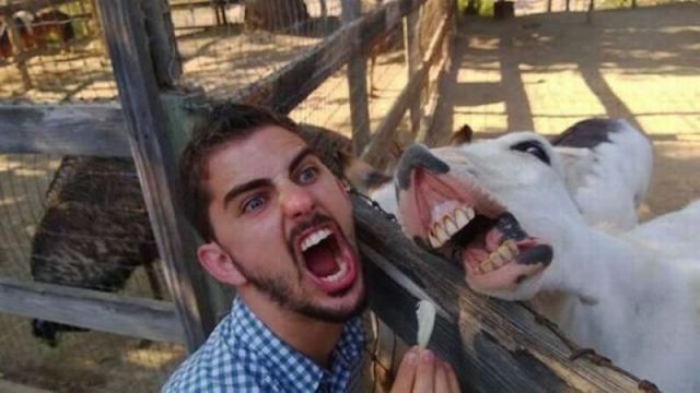 Fotos divertidas que te hacen reir